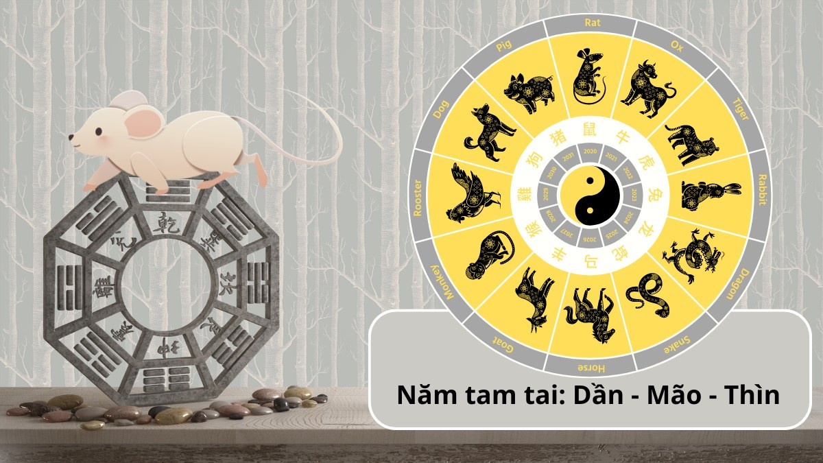 Những năm Tam Tai mà người sinh năm 1984 cần lưu ý
