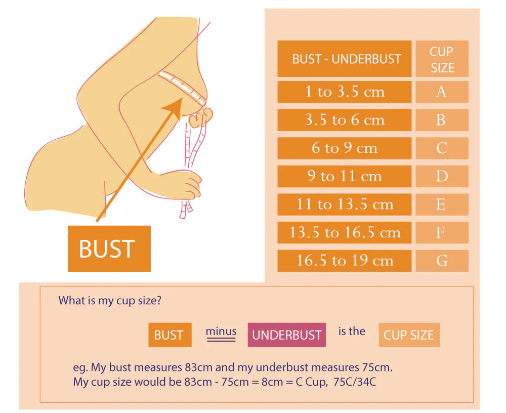 Bảng Bust Size Chart