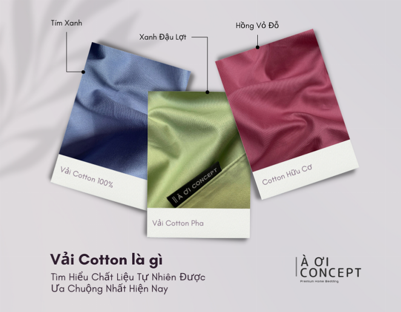 Hướng dẫn bảo quản quần lót cotton Nhật đúng cách, với các biểu tượng giặt ủi và phơi khô trên nền vải cotton