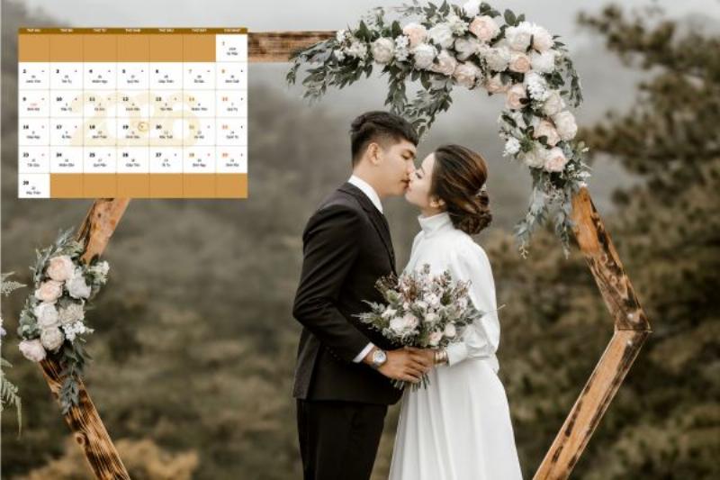 Hình ảnh năm 2026 là năm con ngựa Bính Ngọ, biểu tượng cho sự tự do và năng lượng dồi dào