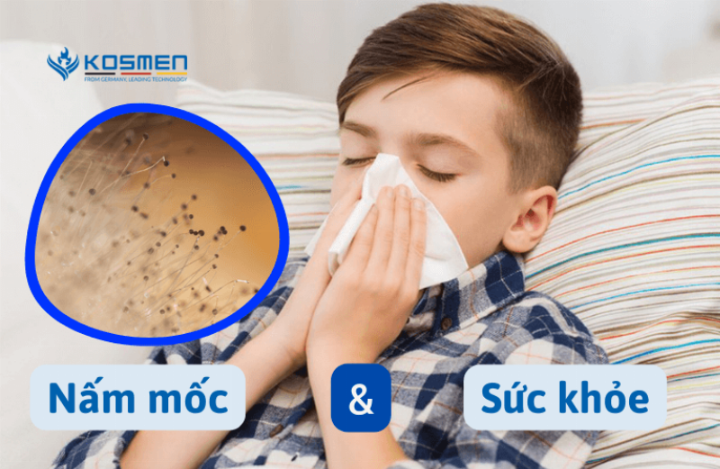 Hình ảnh tổng quan quần áo bị mốc với những đốm đen, xanh bám trên bề mặt vải, gây mất thẩm mỹ và mùi khó chịu, minh họa rõ tại sao quần áo bị mốc.