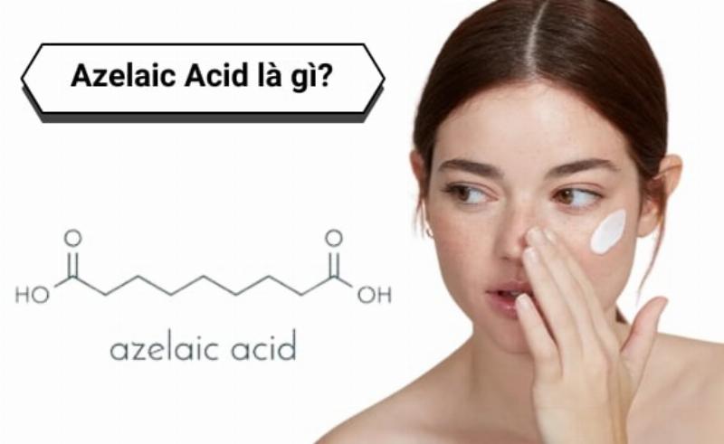 Minh họa các thành phần chính trong serum trị mụn cho da dầu, như BHA, Niacinamide, Retinol.