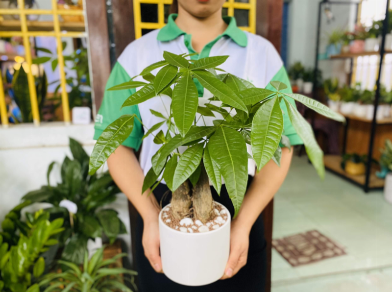Hình ảnh hai bàn tay nắm chặt với các biểu tượng phong thủy nhỏ xen kẽ, tượng trưng cho sự hòa hợp trong tình yêu và hôn nhân của người sinh năm 2000