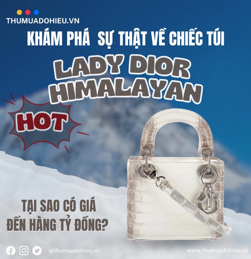 Túi Dior Lady Dior chính hãng, biểu tượng sang trọng và giá trị đầu tư