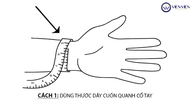 Các vật dụng thay thế thước dây để đo vòng 1 chính xác tại nhà