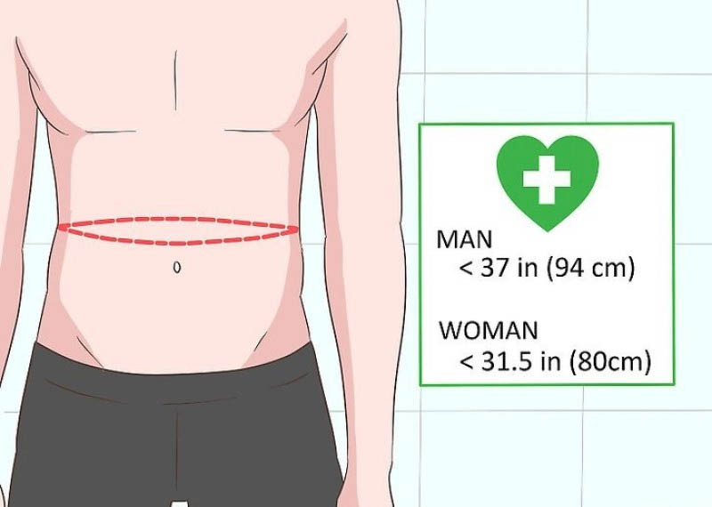 Ý nghĩa của Waist - vòng eo