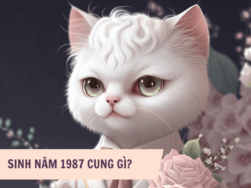 Cung mệnh của người sinh năm 1987 theo giới tính