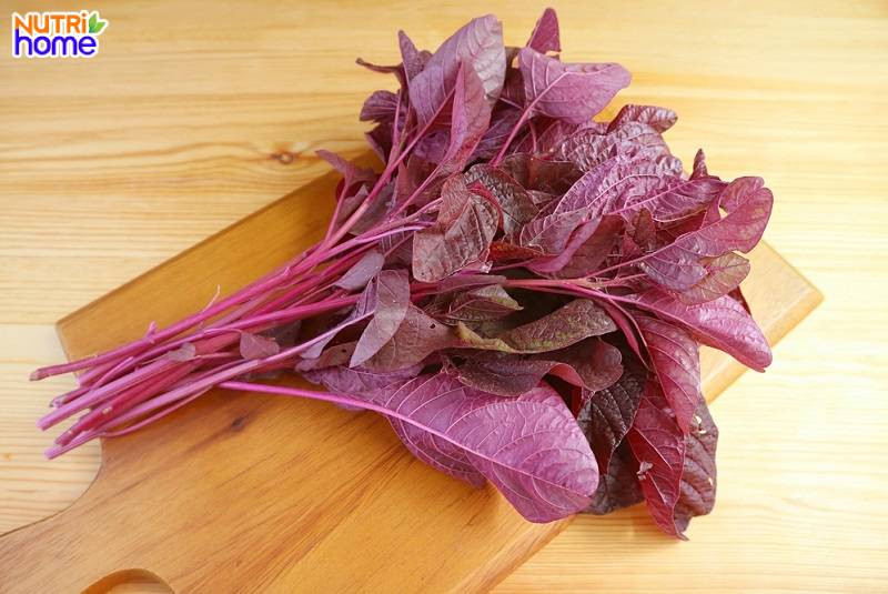 Rau dền giúp sữa mẹ đặc, mát lành và con tăng cân