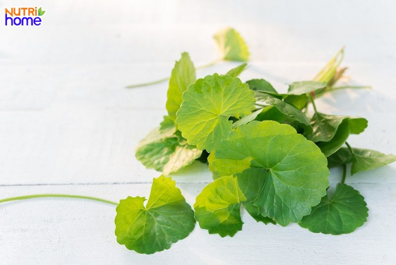 Rau má giúp sữa mẹ đặc, mát lành và con tăng cân tốt