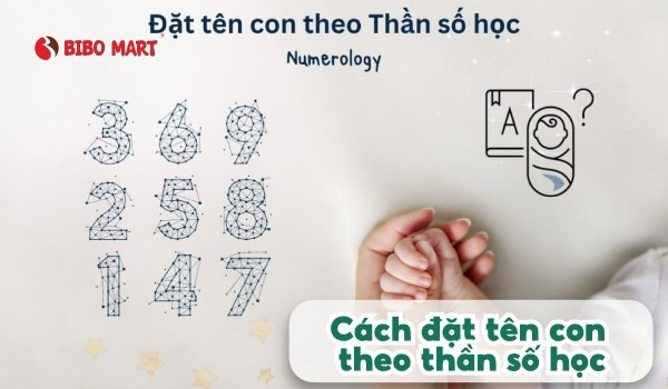 Các chỉ số thần số học quan trọng trong việc đặt tên con