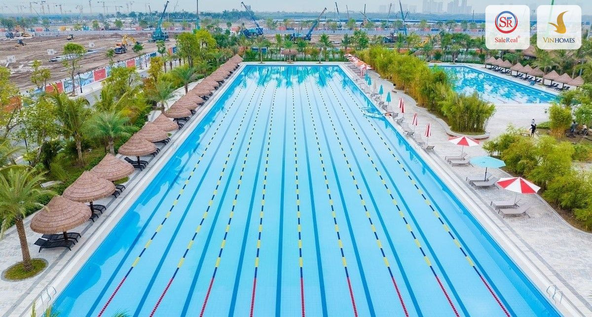 Hồ bơi kinh ngư chuẩn Olympic tại Quận 3 Ocean City