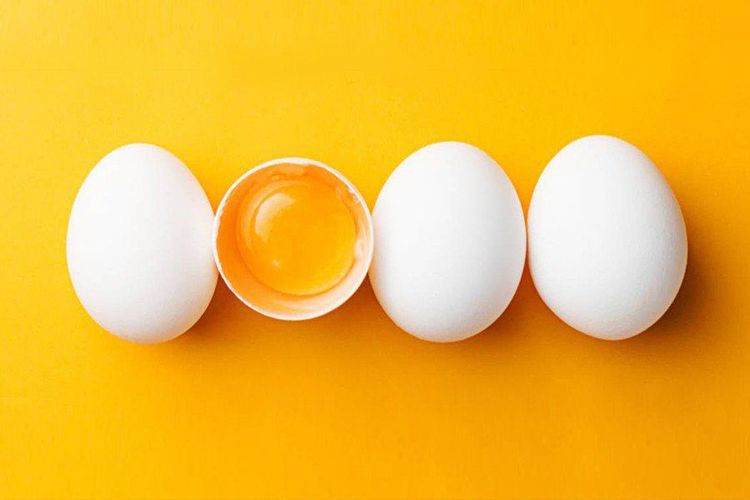 Trứng chứa lượng lớn protein thiết yếu