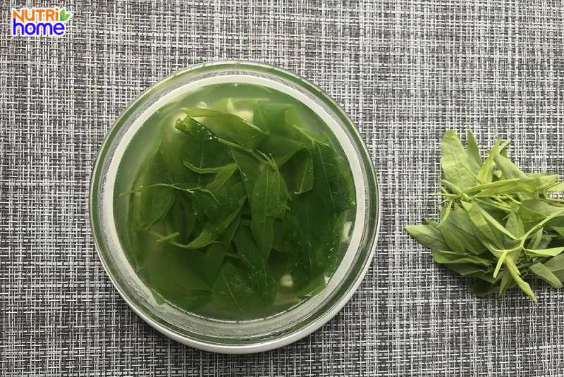 Rau ngót - Thực phẩm giúp sữa mẹ mát lành và thơm ngon