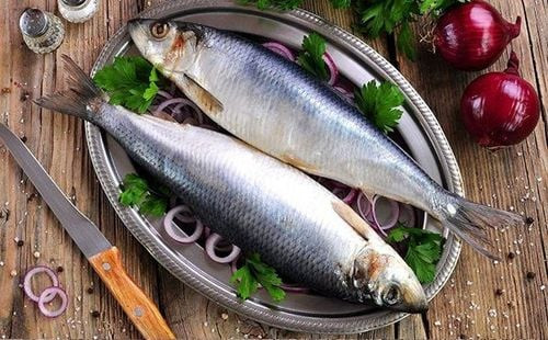 Cá trích phi lê giàu Omega 3, thực phẩm tốt cho tim mạch