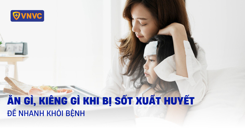 Người bệnh sốt xuất huyết cần có chế độ ăn uống khoa học để nhanh hồi phục
