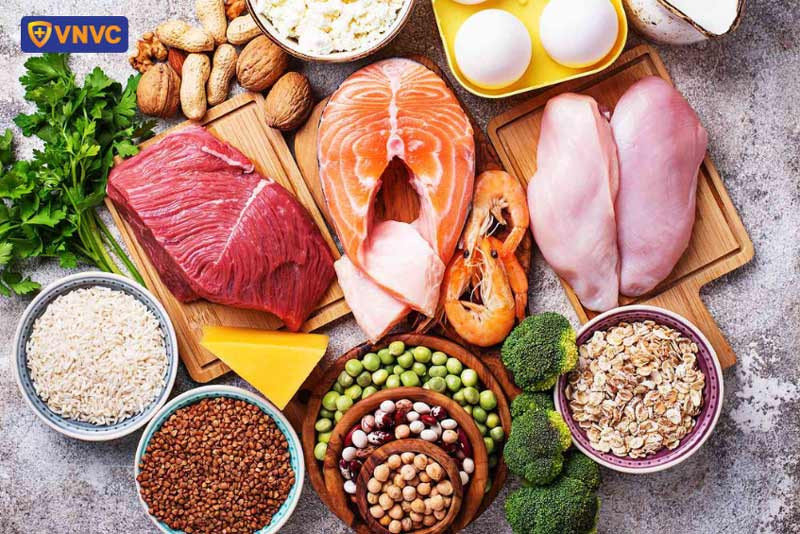 Thực phẩm giàu protein đóng vai trò quan trọng trong việc phục hồi tế bào và tăng cường miễn dịch khi bị sốt xuất huyết