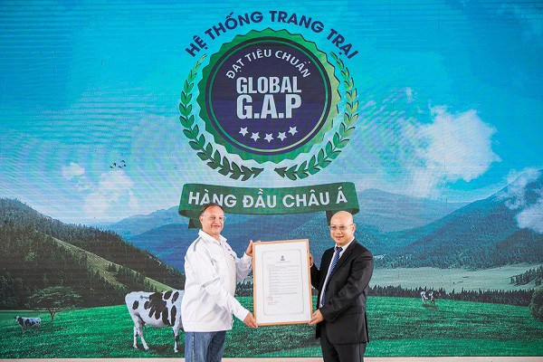 Trang trại bò sữa công nghệ cao của Vinamilk, đạt chuẩn Global GAP, nguồn gốc sữa tốt cho Optimum.