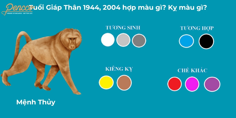 Màu sắc hợp và kỵ với người tuổi Giáp Thân 2004, bao gồm đen, xanh nước biển, trắng, xám, vàng nhạt