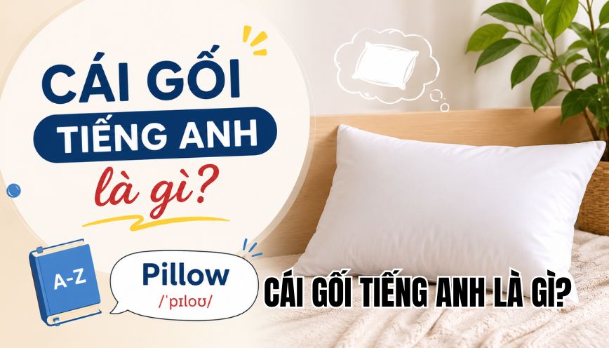 Cái gối tiếng Anh là gì