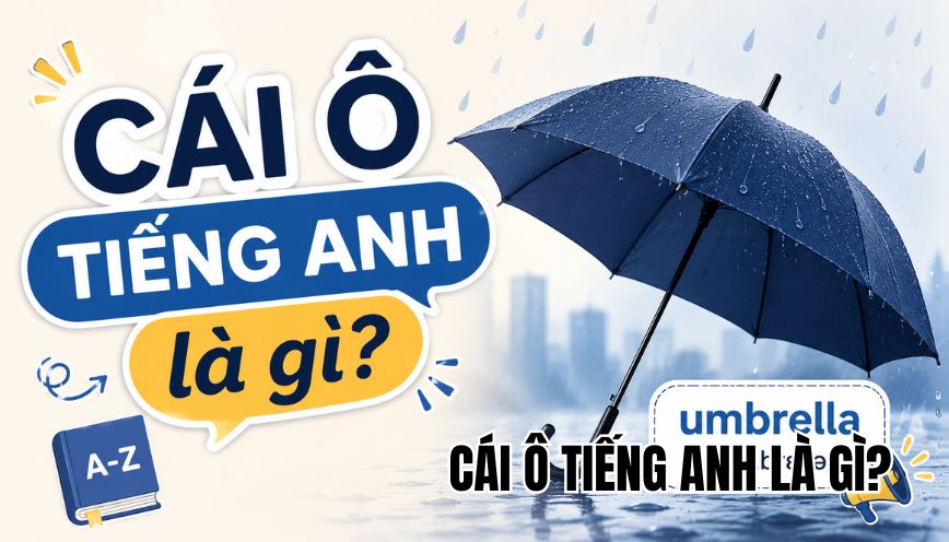 Cái ô tiếng Anh là gì