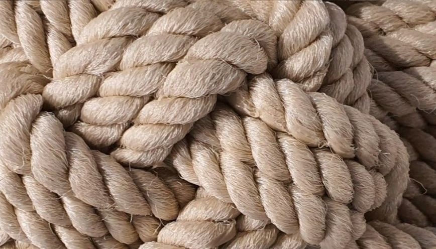Taupe mang vẻ đẹp sang trọng và cá tính