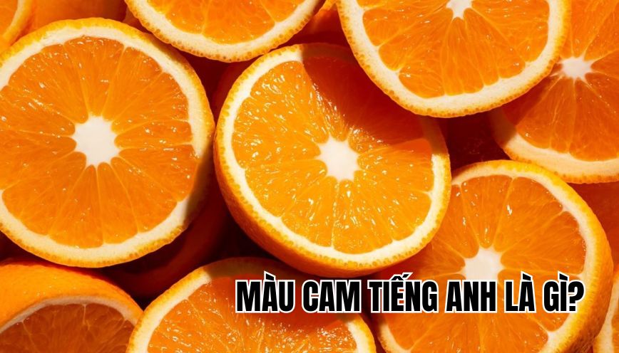 màu cam tiếng Anh là gì