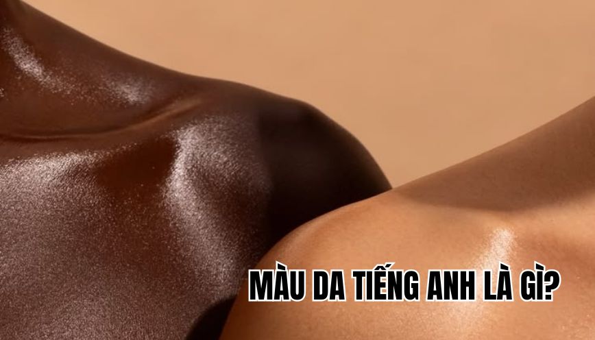màu da tiếng Anh là gì