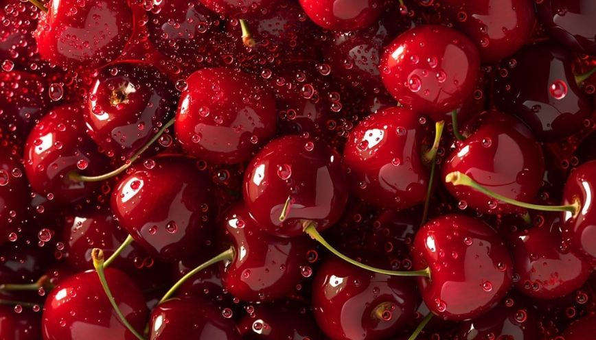 Sắc đỏ scarlet mang năng lượng mạnh mẽ và sự táo bạo