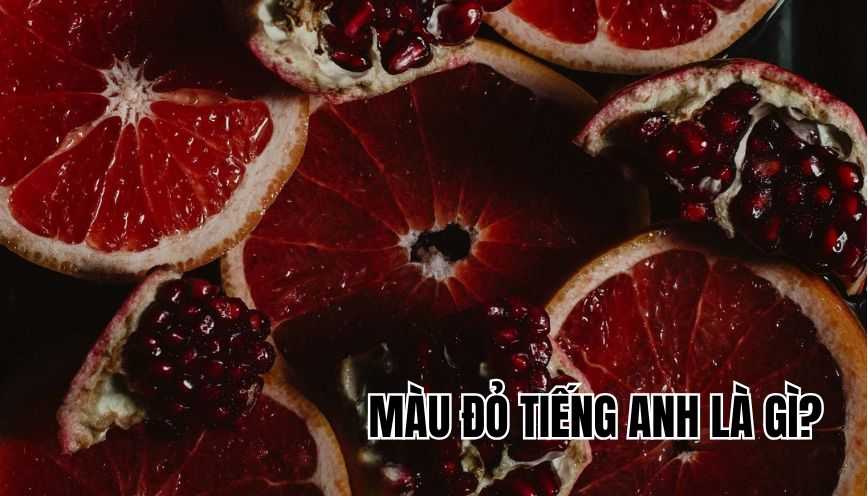 màu đỏ tiếng Anh là gì