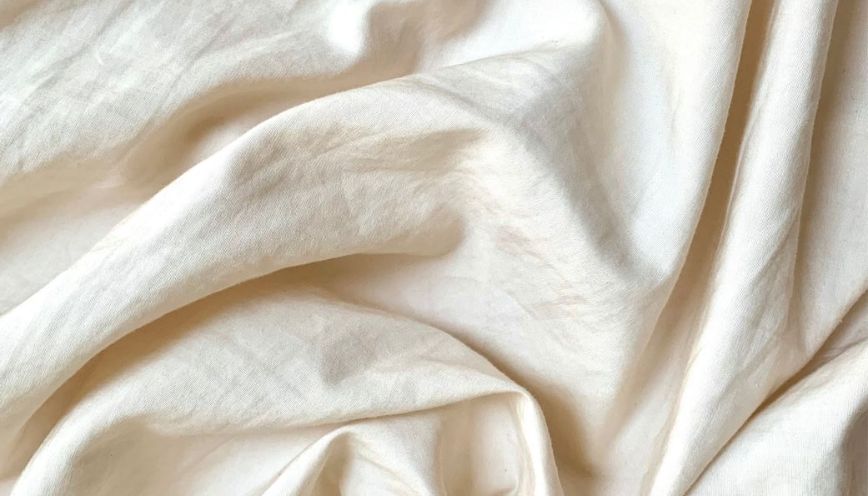 Cornsilk sở hữu vẻ đẹp nhẹ nhàng và tươi mới đặc trưng