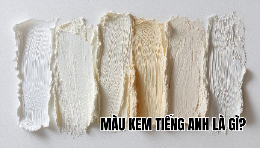 Màu kem tiếng Anh là gì