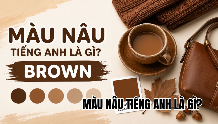 Màu nâu tiếng Anh là gì