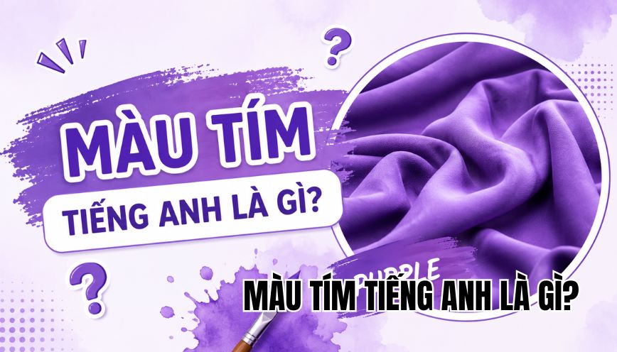 màu tím tiếng Anh là gì