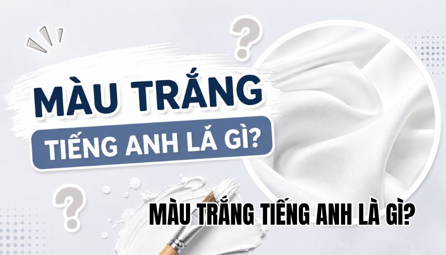 Màu trắng tiếng Anh là gì