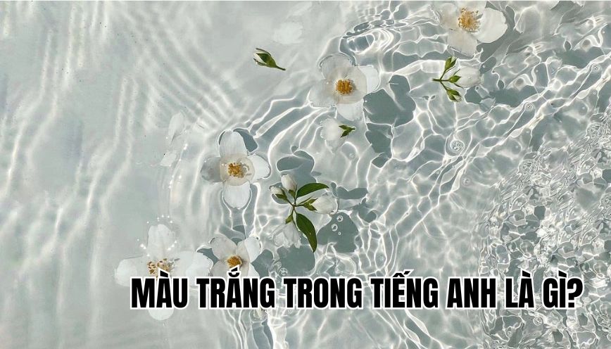 màu trắng trong tiếng Anh là gì