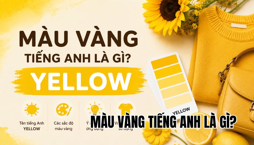 màu vàng tiếng Anh là gì