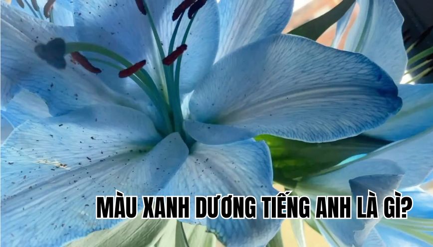 màu xanh dương tiếng Anh là gì
