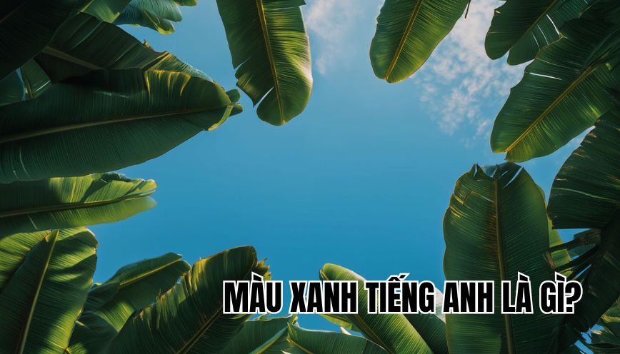 màu xanh tiếng Anh là gì
